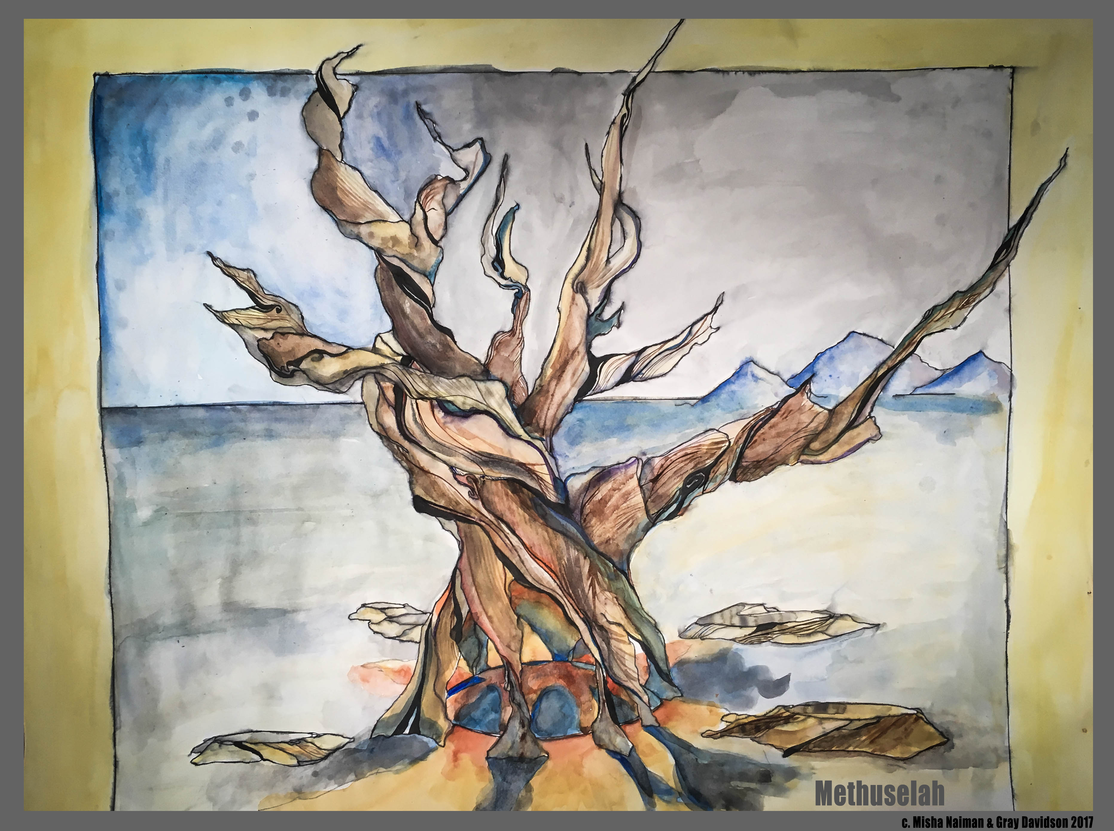 gray davidson and misha naiman watercolor collaboration of Methuselah
